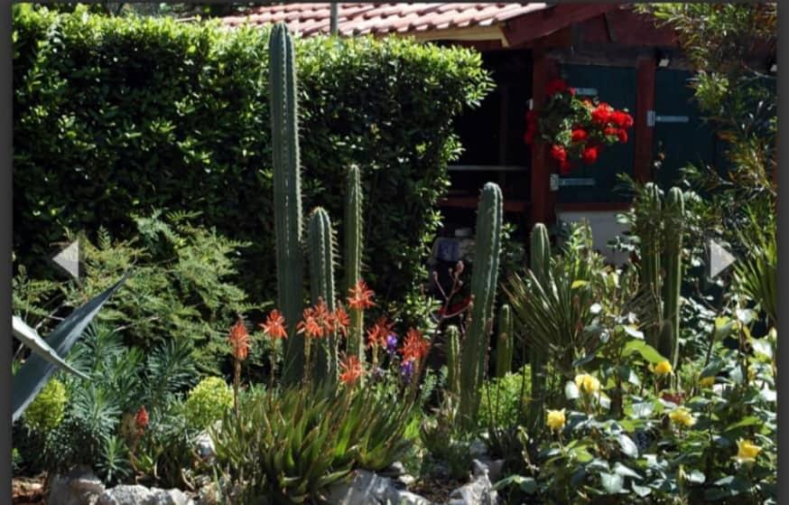 Cactus House Gaspar Zadar Exterior photo