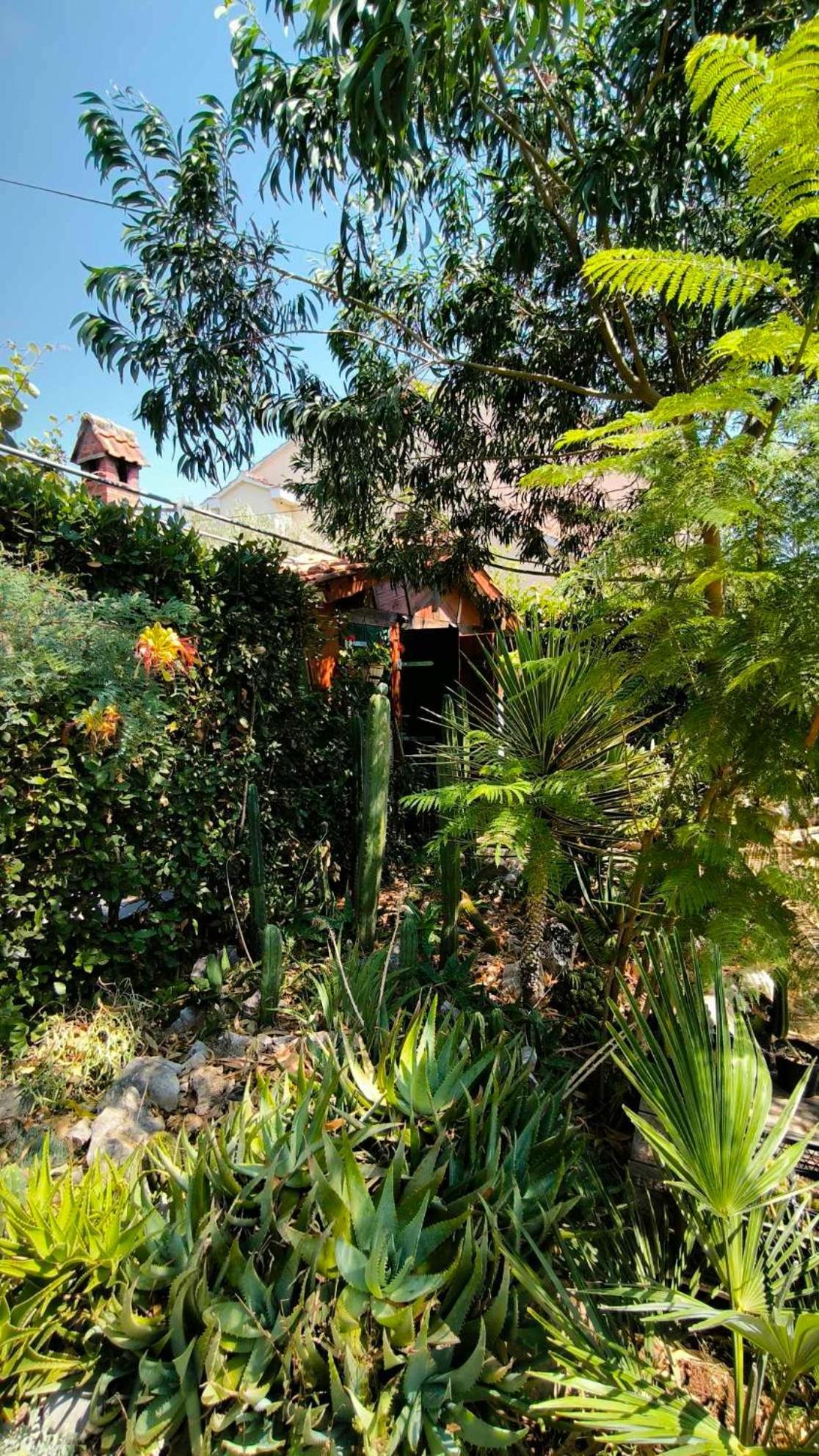 Cactus House Gaspar Zadar Exterior photo